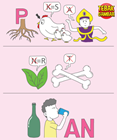 Kunci-jawaban-tebak-gambar-level-22-nomor-20
