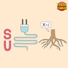 Kunci-jawaban-tebak-gambar-level-48-nomor-11