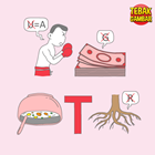 Kunci-jawaban-tebak-gambar-level-60-nomor-6