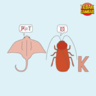 Kunci-jawaban-tebak-gambar-level-67-nomor-14