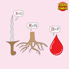 Kunci-jawaban-tebak-gambar-level-76-nomor-16