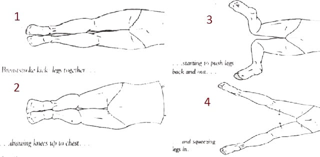 Teknik dasar renang gaya dada